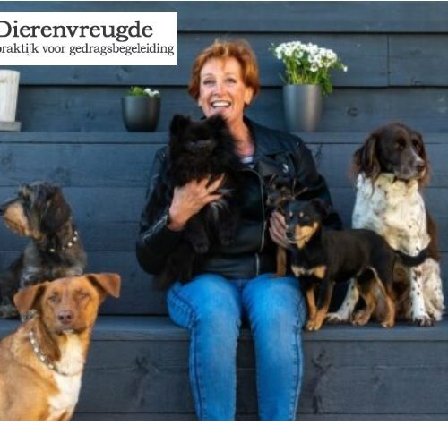 Wil jij jouw adoptiehond beter leren begrijpen? Neem dan deel aan de gratis online masterclass van Jolanda van ‘Dierenvreugde’ op 8 december a.s.