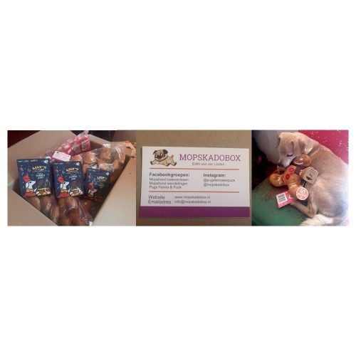 Van Edith van der Linden van Mopskadobox hebben we een doos vol geweldige (Kerst)Knuffels gekregen voor onze adoptie- en pleeghondjes. Heel erg bedankt hiervoor, we gaan ervoor zorgen dat ze op de goede plaats komen! En zoals je ziet: onze Noah is er al heel blij mee 😊