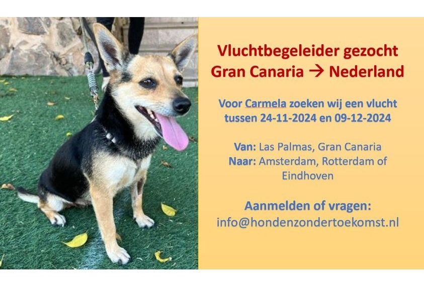 Vluchtbegeleiders voor Carmela