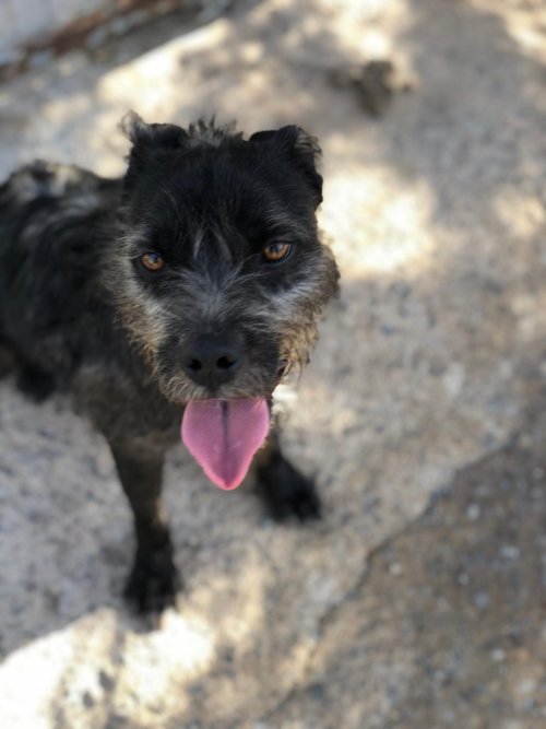 PHOTO-2025-11-15-13-15-51