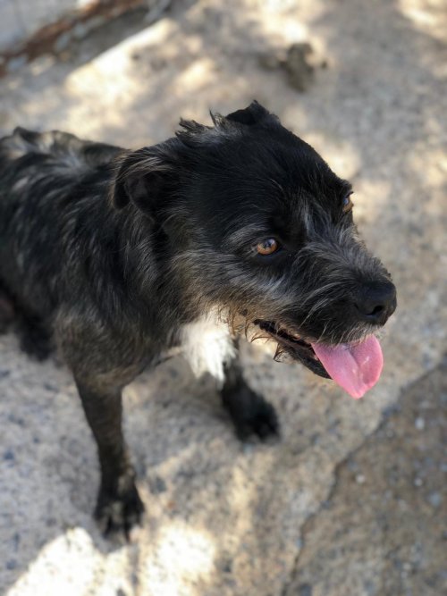 PHOTO-2025-11-15-13-15-51_10