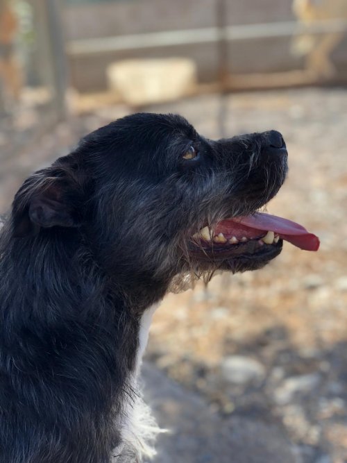 PHOTO-2025-11-15-13-15-51_2