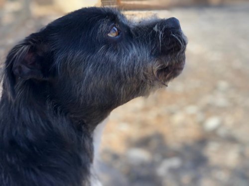 PHOTO-2025-11-15-13-15-51_3