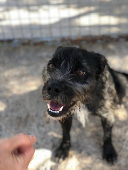 PHOTO-2025-11-15-13-15-51_4