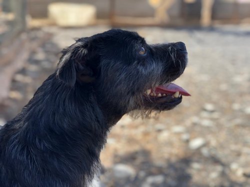 PHOTO-2025-11-15-13-15-51_5