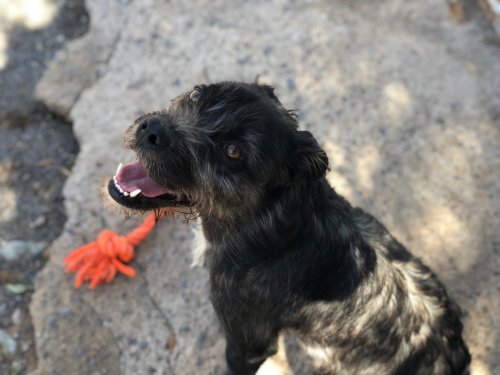 PHOTO-2025-11-15-13-15-52