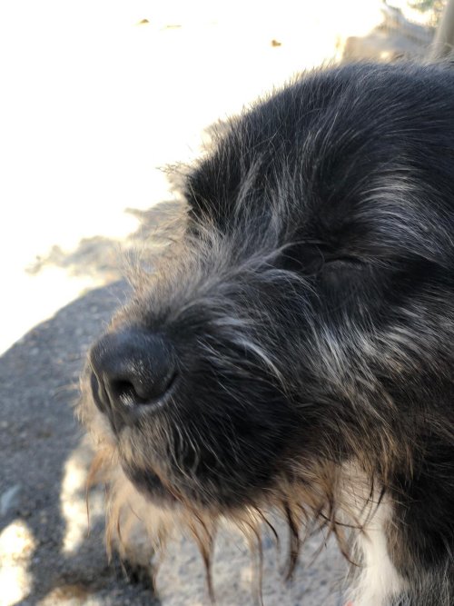 PHOTO-2025-11-15-13-15-52_7