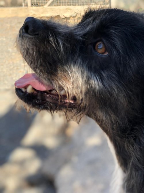 PHOTO-2025-11-15-13-15-52_8