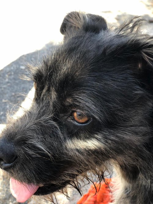 PHOTO-2025-11-15-13-15-52_9