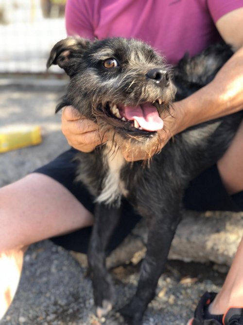 PHOTO-2025-11-15-13-17-23