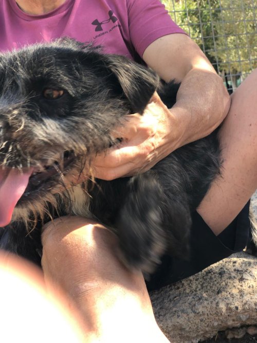 PHOTO-2025-11-15-13-17-23_11